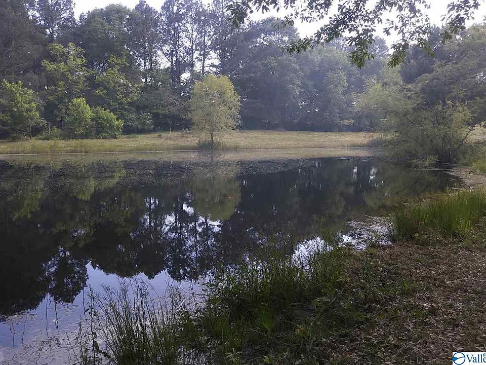 2nd image of 425 Buchanan Rd