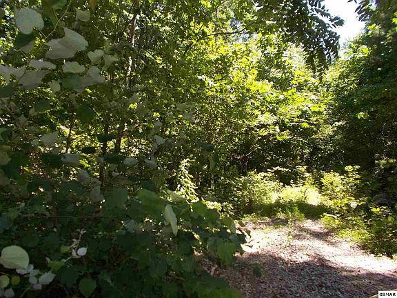 2nd image of 023-00 Neddy Mountain Rd