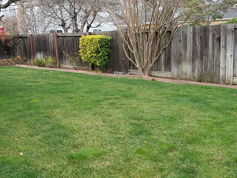 4439 Margery Dr — Photo 3