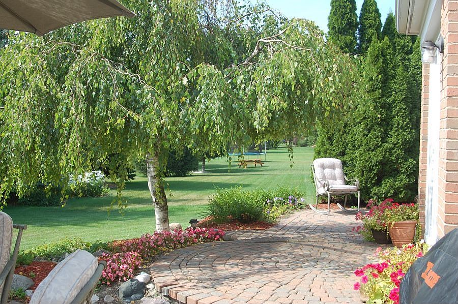 Spanning the Patio Deep/Wide Backyard