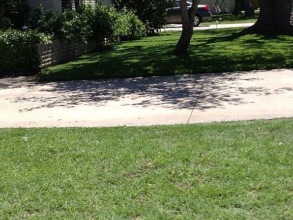 Side yard 