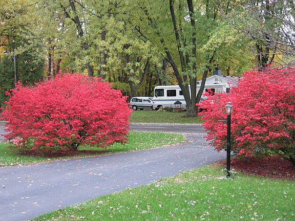 shot from front porch