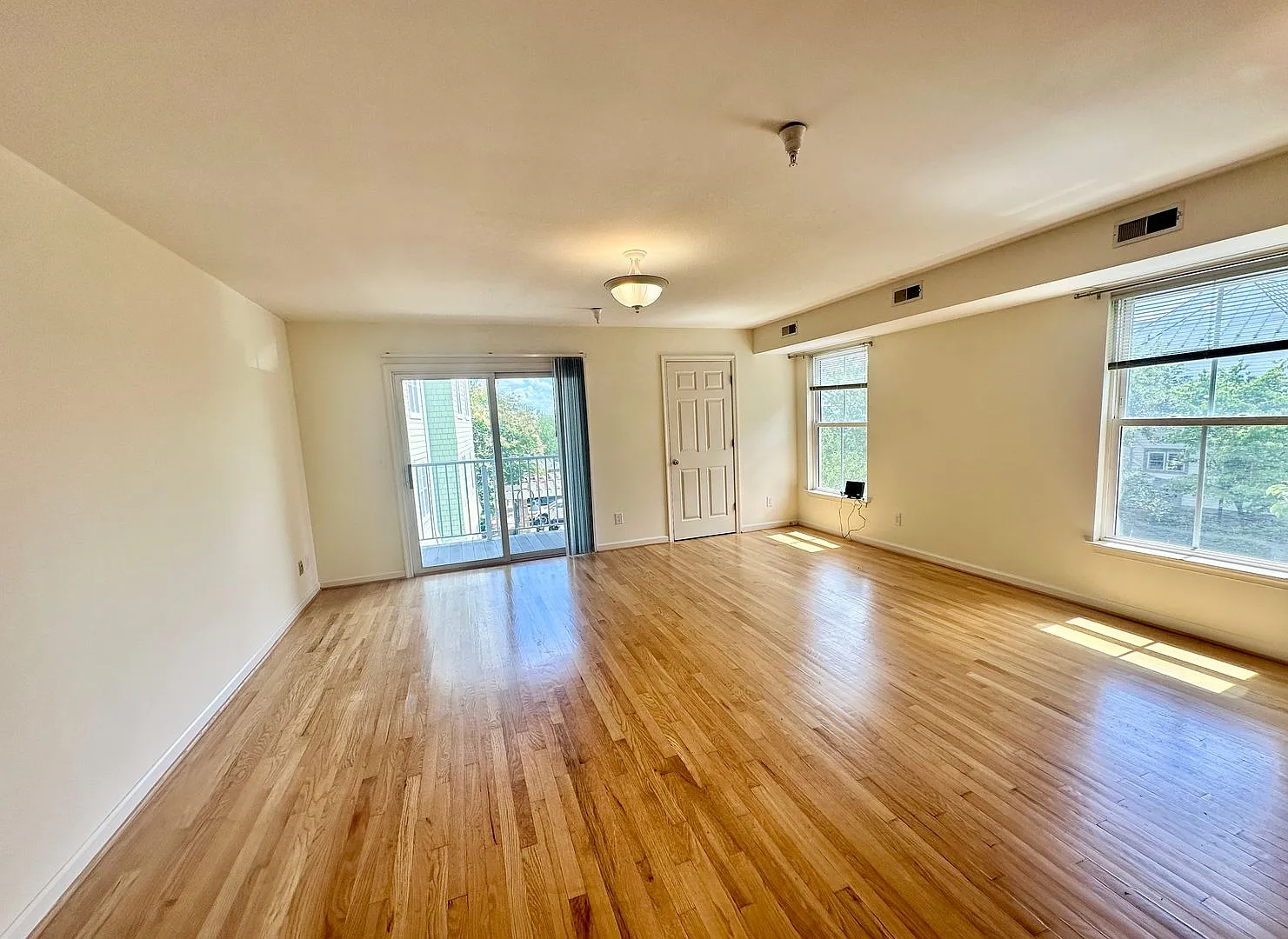 1203 Wertland Street — Photo 4