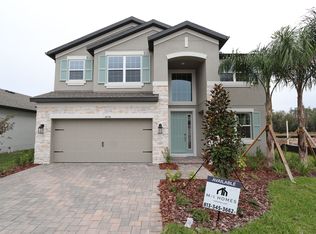 10714 New Morning Dr, Tampa, FL 33647