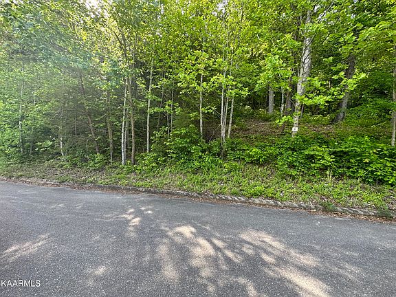 4th image of Mountain Grove Ln