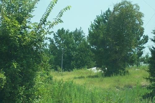 1st image of 2387 County Road 4455