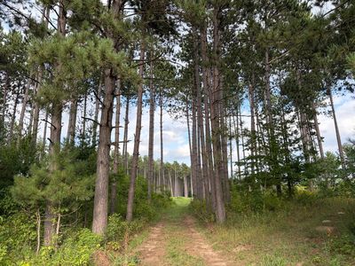 Tulip St NW, Stanchfield, MN, 55080