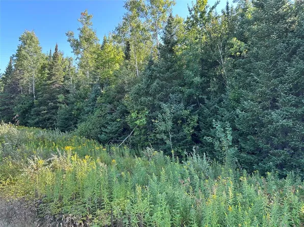 On Highway 53, Lake Nebagamon, WI 54849