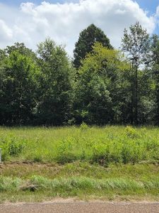 166 Deer Run Ln, Mabank, TX, 75156