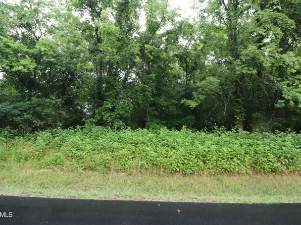 0 Kanati Trl Lot 8, Vonore, TN 37885