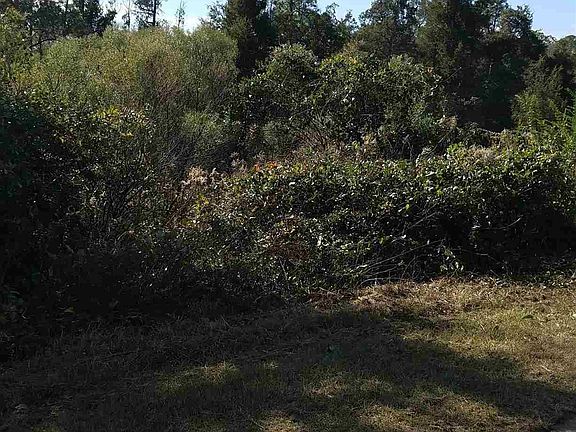 3rd image of 6115 Ashton Woods Cir