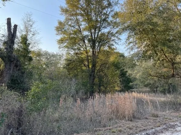 0 Daisy Rd SW, Lake City, FL 32024