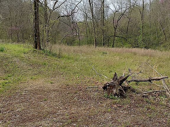 3rd image of 921 Madison 1103