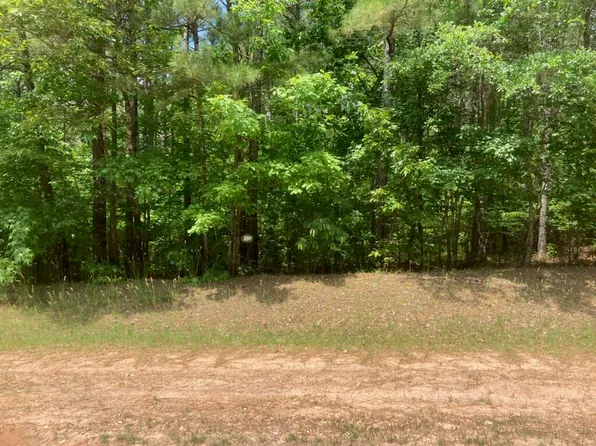 0 Willow Way Lot 21, Lincolnton, GA 30817