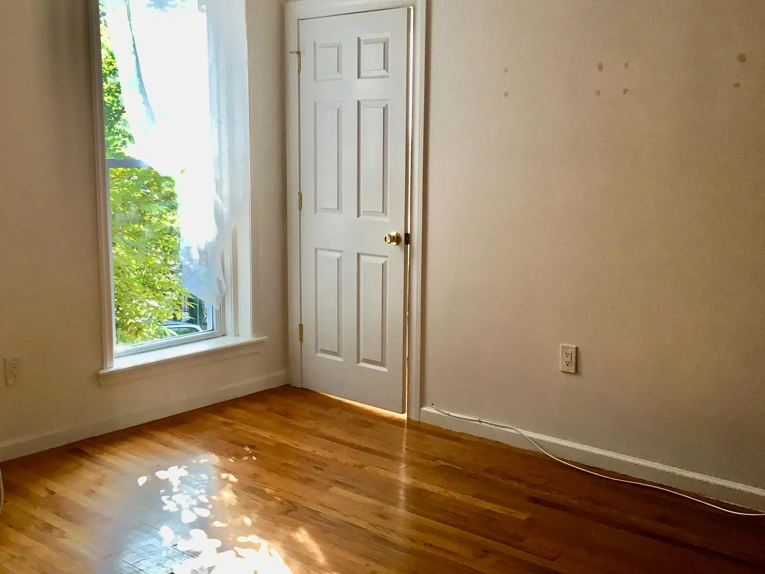 Studio, 350 sqft, $2,200 — Photo 2