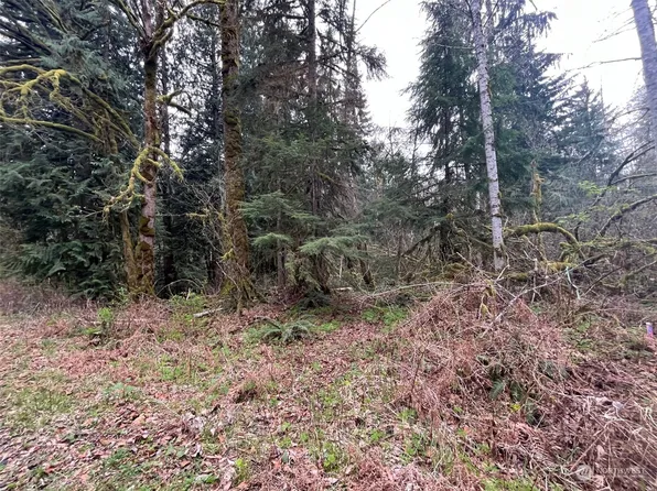 7589 Glacier Springs Drive, Glacier, WA 98244