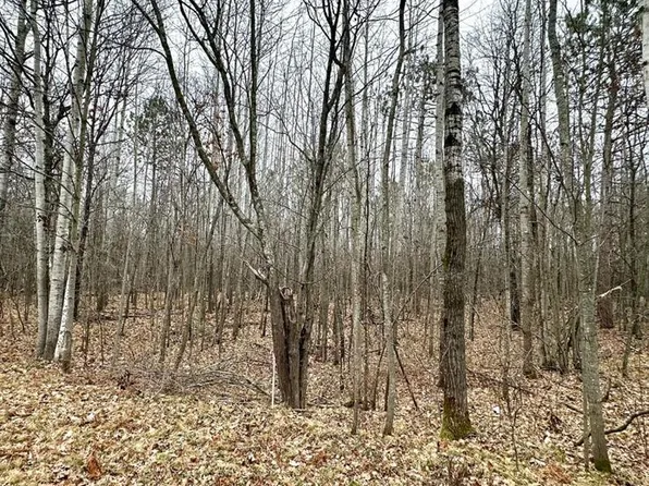Lot 1, 1.65+/- Acres 295th Avenue, Holcombe, WI 54745