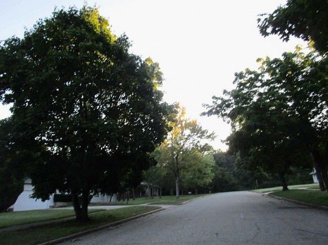 2nd image of 56 Allison Dr