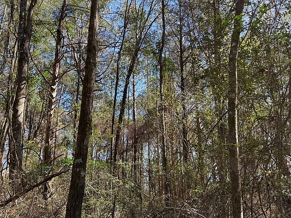 3rd image of 0 Spring Lake Dr