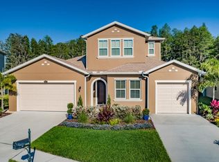 1966 Marshberry Ct, Trinity, FL 34655