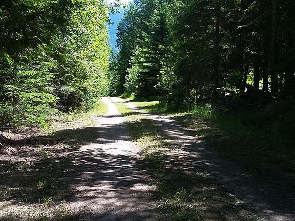 Looking back down driveway