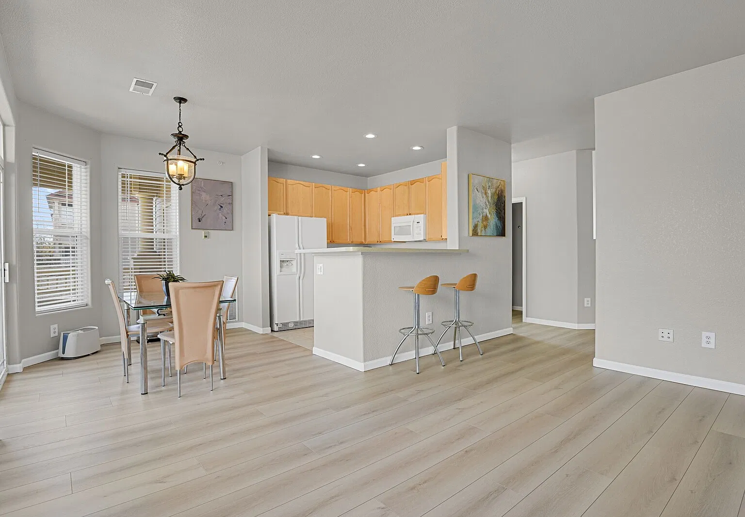 Living room/Kitchen