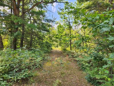 Par 1 Wilderness Trl, Luther, MI, 49656