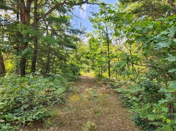 Par 1 Wilderness Trl, Luther, MI 49656