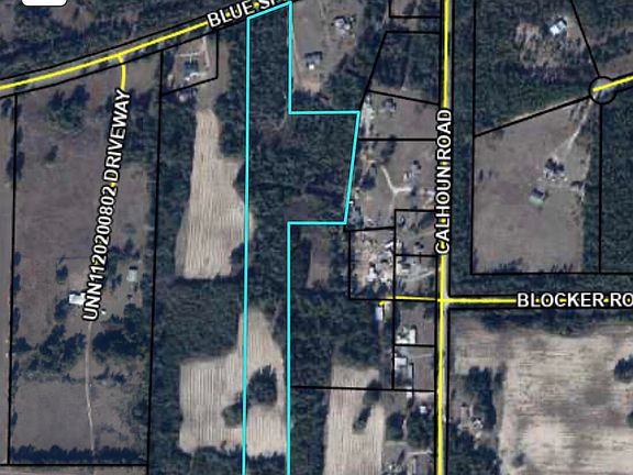 5th image of Blue Springs Rd