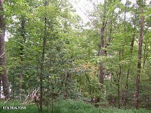 1st image of 9304 Hondo Dr