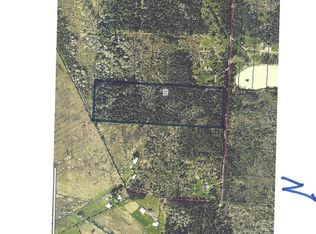 0 Pine Tree Dr, Toledo, WA 98591