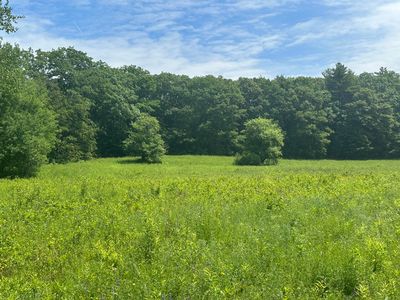 37 Herrick Road, Belfast, ME, 04915