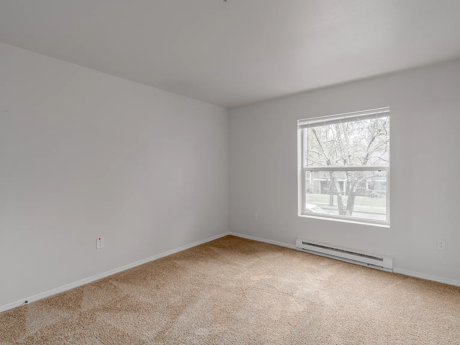 1 bed, 660 sqft, $1,500 — Photo 4