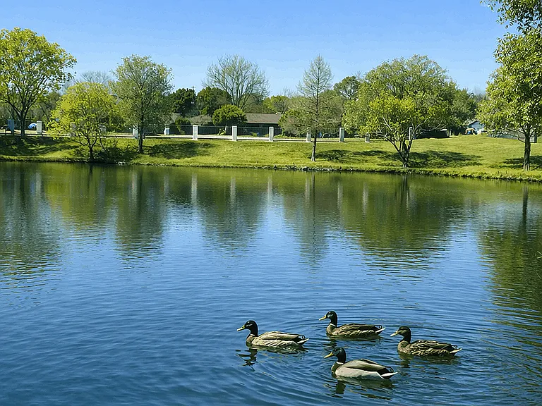 Las Colinas Heights — Photo 8