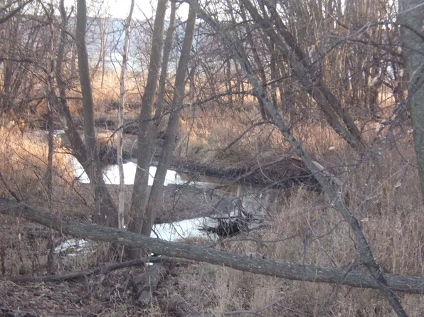 0 210th St, Masonville, IA 50654