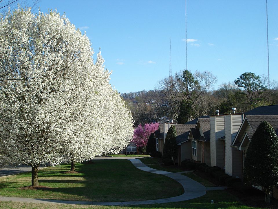 1st image of 4531 Shamus Way