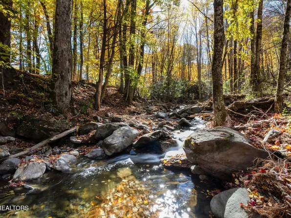 140 Doe Ln, Roan Mountain, TN 37687