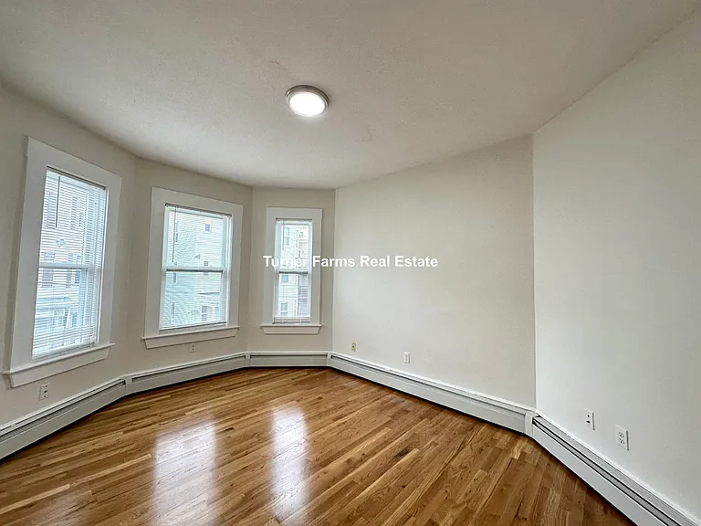 11 Elder St — Photo 16