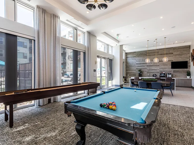 Pool Table and Shuffleboard