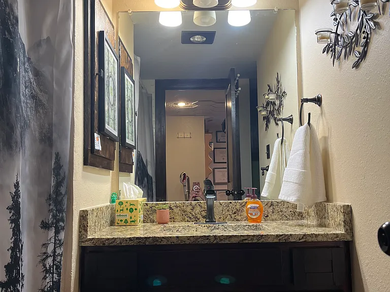 Downstairs bathroom. Full bath.