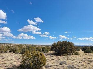 56 County Road 5066, Concho, AZ 85924