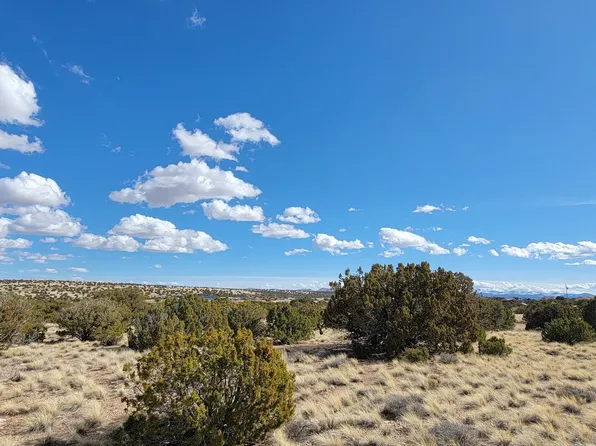 56 County Road 5066, Concho, AZ 85924