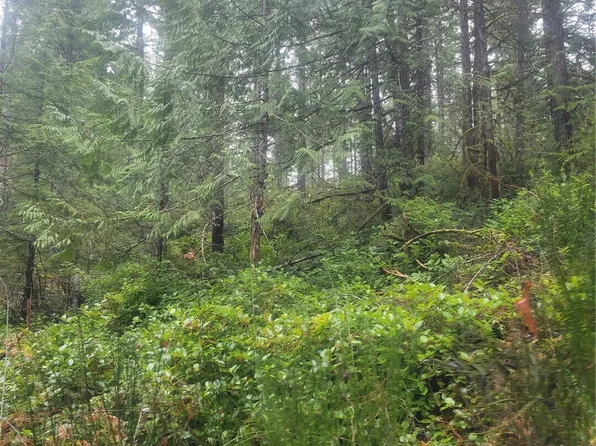 1 GD 2048 Rd, Union, WA 98592