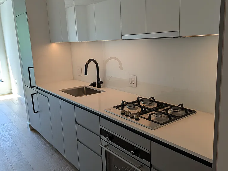 Kitchen with panelized appliances and gas-range