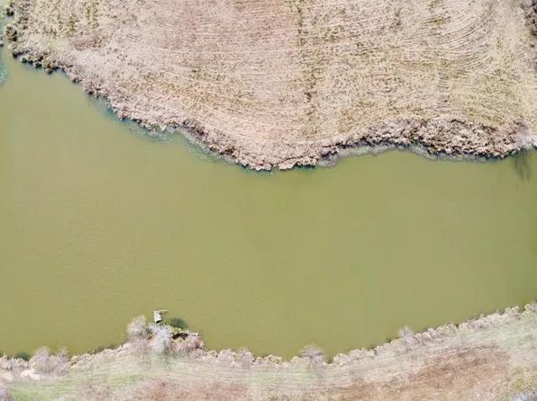 County Road 1460 #2, Linden, TX 75563