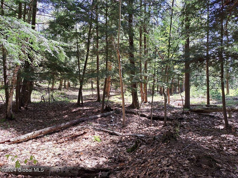 5th image of L 3.11 Longwoods Road