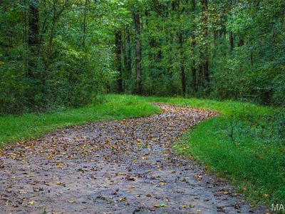 13703 Timberline Rd, Highland, IL, 62249