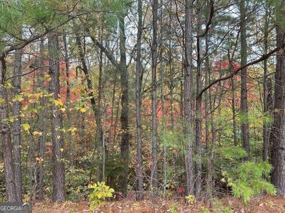 125 Spring Lake Trl, White, GA, 30184