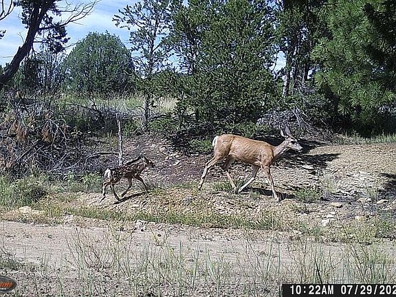 4th image of Co. Rd. 55.4