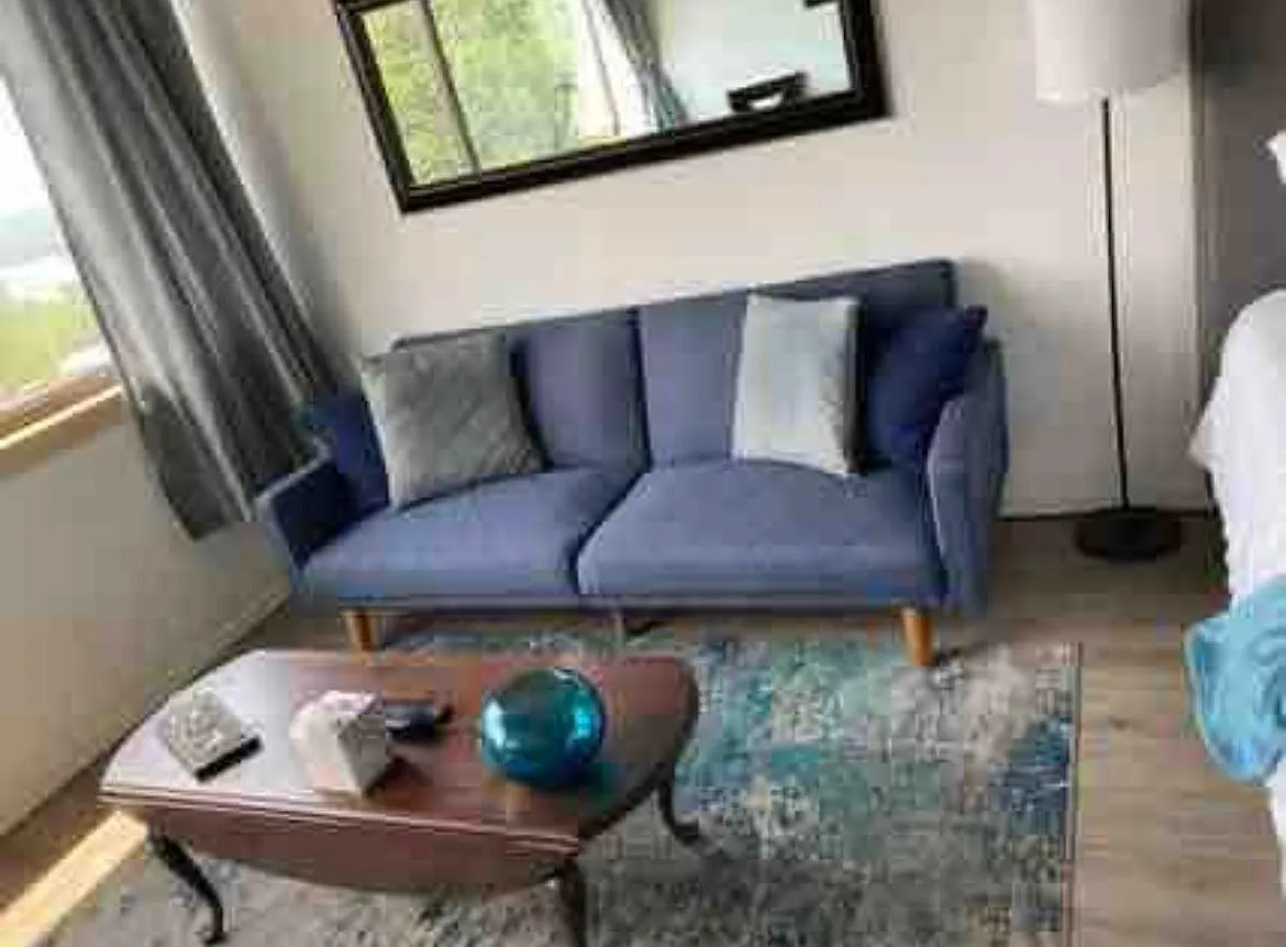 Studio, 500 sqft, $1,350 — Photo 3